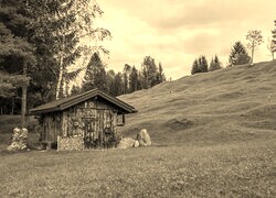 Sepia
