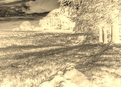 Sepia + Negatyw