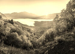 Sepia