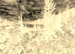 Sepia + Negatyw