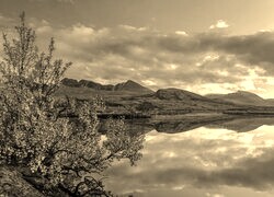 Sepia