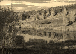 Szary + Sepia