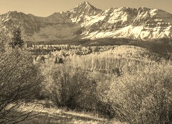 Sepia