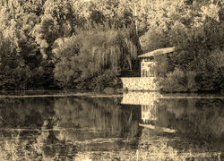 Szary + Sepia