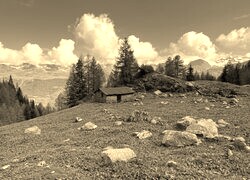 Szary + Sepia