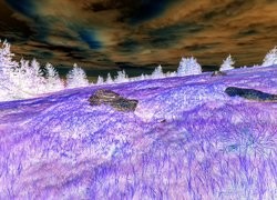 Negatyw