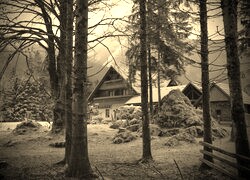 Szary + Sepia