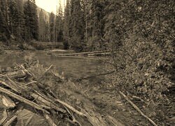 Sepia