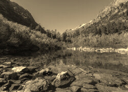 Sepia