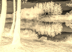Sepia + Negatyw