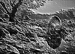 Skamielina