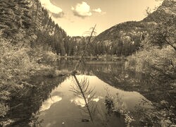 Szary + Sepia