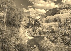 Sepia