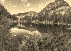 Szary + Sepia