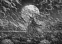 Skamielina
