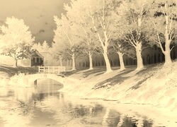 Sepia + Negatyw