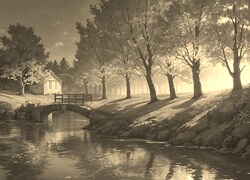 Szary + Sepia