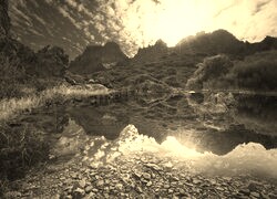 Sepia