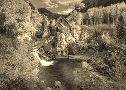 Szary + Sepia