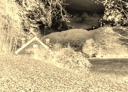 Sepia + Negatyw