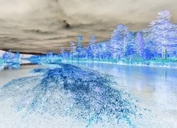 Negatyw
