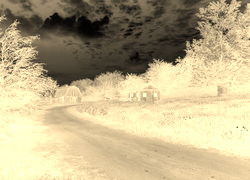 Sepia + Negatyw