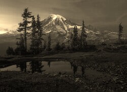 Szary + Sepia