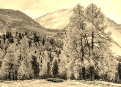 Sepia