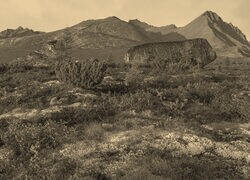 Szary + Sepia