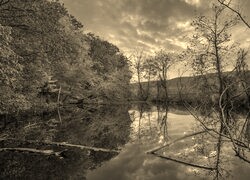 Szary + Sepia