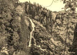 Szary + Sepia