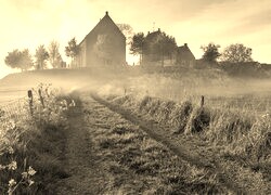 Szary + Sepia