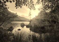 Szary + Sepia