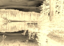 Sepia + Negatyw