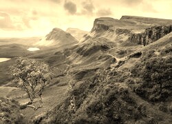 Szary + Sepia
