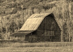 Szary + Sepia