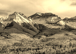 Sepia