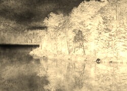 Sepia + Negatyw