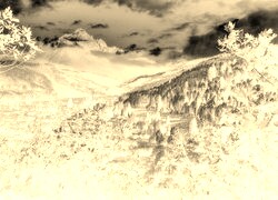Sepia + Negatyw