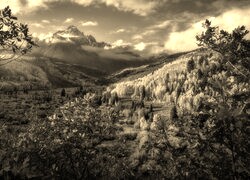 Szary + Sepia