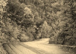 Szary + Sepia