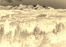 Sepia + Negatyw