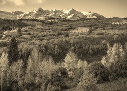 Sepia