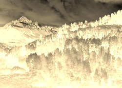 Sepia + Negatyw