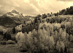 Sepia