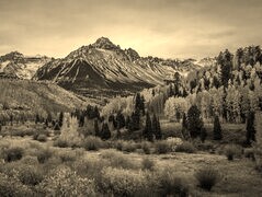 Sepia