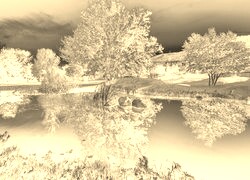 Sepia + Negatyw
