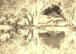 Sepia + Negatyw