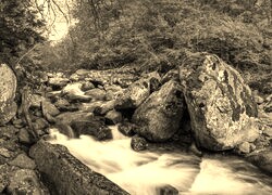 Szary + Sepia