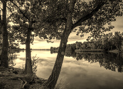 Sepia
